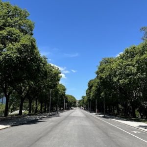 Entrada Quinta da Boa Vista